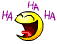 Very Happy :D