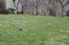 Fare click su una miniatura per visualizzare l'immagine